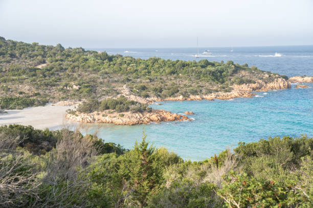 istock Principe Beach, Sardinia, Italy 1201317070
