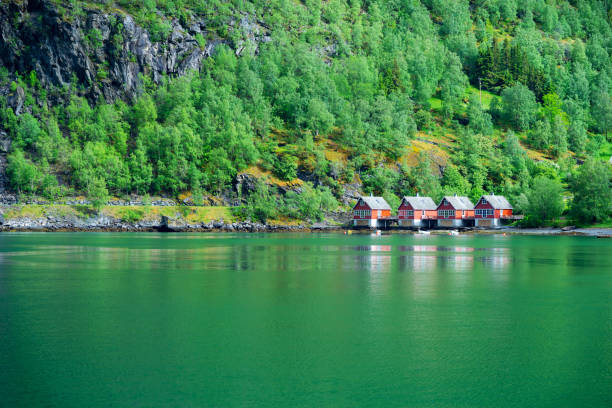 istock Cottage in Fjords 1201319222
