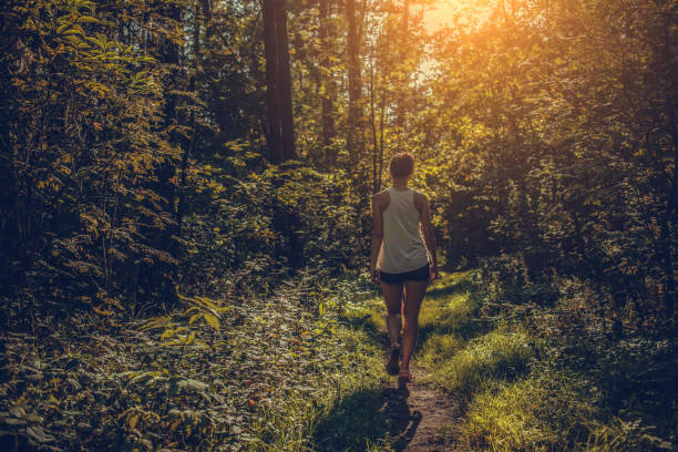 istock Woman walking alone in the forest 1201319316
