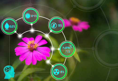 Smart technology with Internet of things (IoT) futuristic agriculture concept : Analysis report water light pest nutrients with one finger click on digital holographic screen and Flower clipping path
