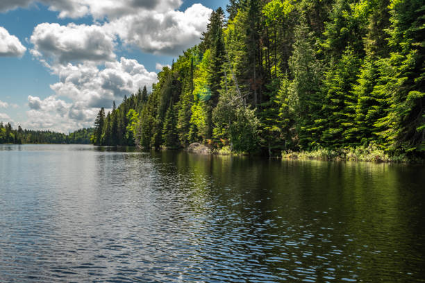 istock Fishing lake in early summer. 1201325968