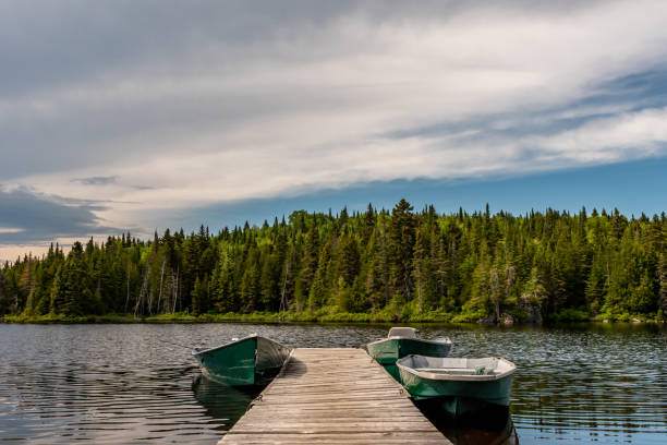 istock Fishing lake in early summer. 1201326030