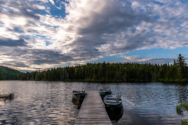 istock Fishing lake in early summer. 1201326095