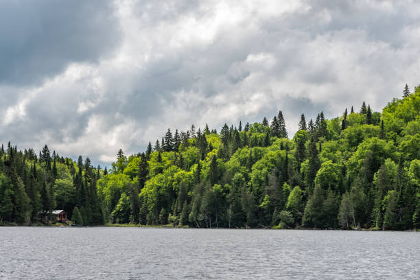 istock Fishing lake in early summer. 1201326128