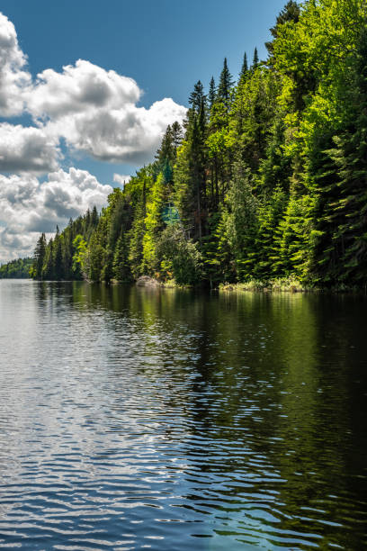 istock Fishing lake in early summer. 1201326170