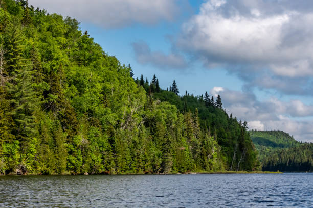 istock Fishing lake in early summer. 1201326193