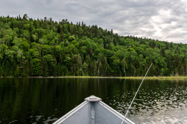 istock Fishing lake in early summer. 1201326247