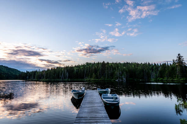 istock Fishing lake in early summer. 1201326248