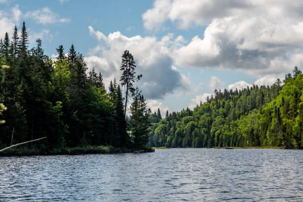 istock Fishing lake in early summer. 1201327100