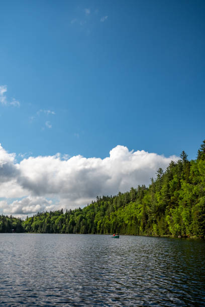 istock Fishing lake in early summer. 1201327136