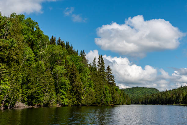 istock Fishing lake in early summer. 1201327164