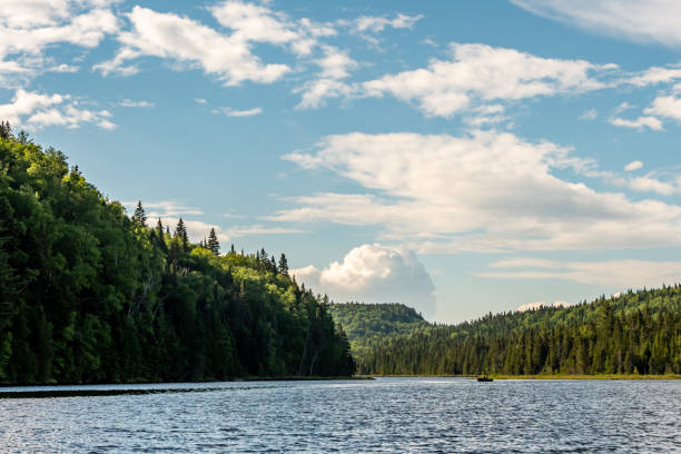 istock Fishing lake in early summer. 1201327241