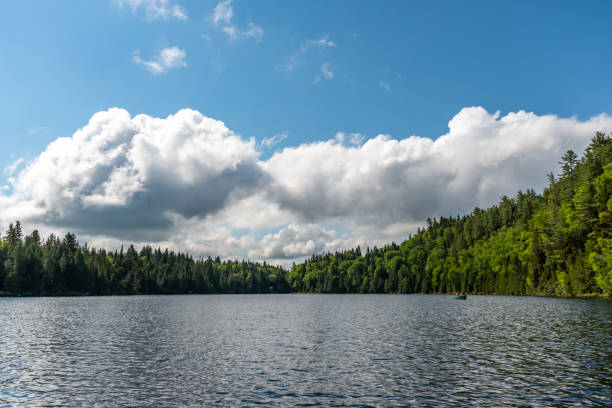 istock Fishing lake in early summer. 1201327794