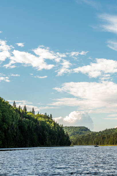 istock Fishing lake in early summer. 1201327796
