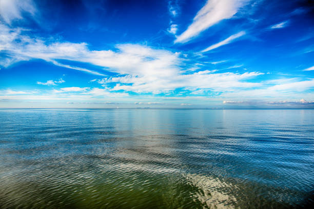 istock Galveston Bay Scenic 1201329268