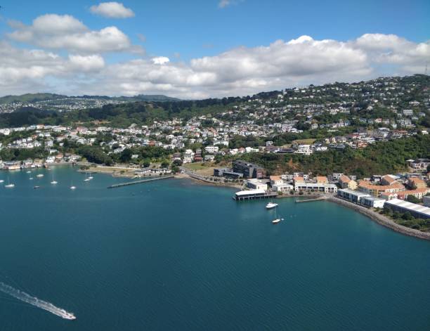 istock Wellington aerial view 1201329294