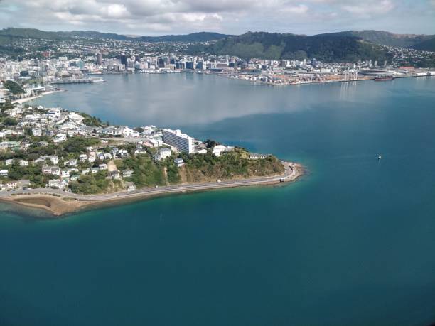 istock Wellington aerial view 1201329298