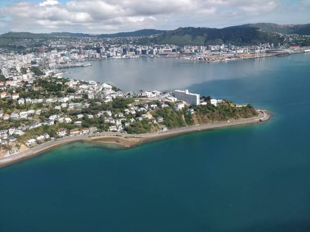 istock Wellington aerial view 1201329302