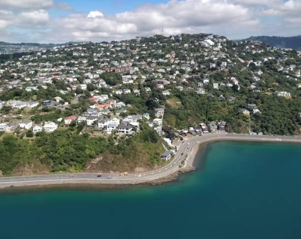 istock Wellington aerial view 1201329320