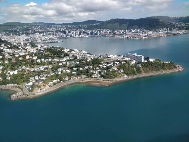 istock Wellington aerial view 1201329324