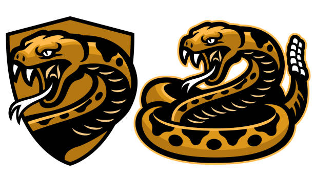 погремушка змея талисман в наборе - cobra snake poisonous organism reptiles stock illustrations