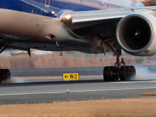 Camera : OLYMPUS OM-D E-M1X DIGITAL CAMERALens: M.ZUIKO Digital 300mm F 4When : 21/Jan./2020Where : Osaka International AIRPORT