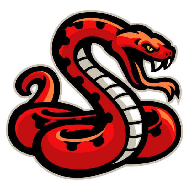 red snake mascot ready to attack vector of red snake mascot ready to attack black mamba stock illustrations