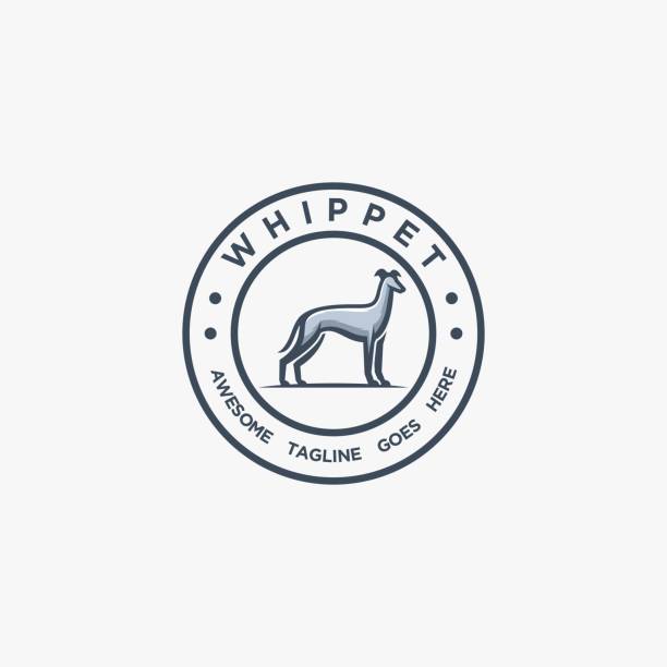 вектор иллюстрация whippet позировать винтаж значок. - mammals stock illustrations