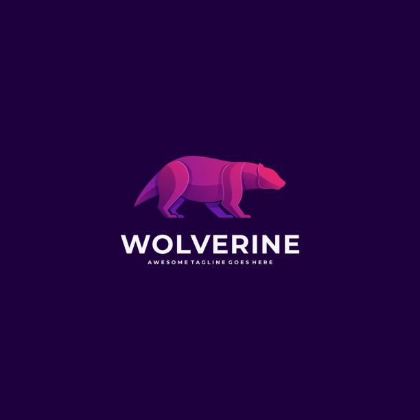 ilustraciones, imágenes clip art, dibujos animados e iconos de stock de ilustración vectorial wolverine walk degradado colorido. - wolverine endangered species wildlife animal