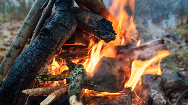 istock Bonfire. Orange flame of a fire. Burning birch tree in the fireplace. . Bonfire background. 1201340339
