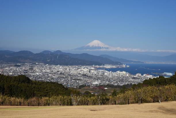 istock Mount Fuji and Shimizu Port 1201344019