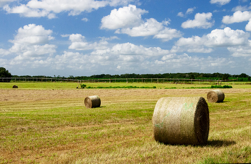 Hay farm in a Central Florida Agriculture district