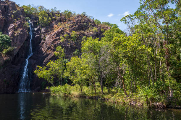 водопад ванги в национальном парке литчфилд, австралия - wangi falls стоковые фото и изображения