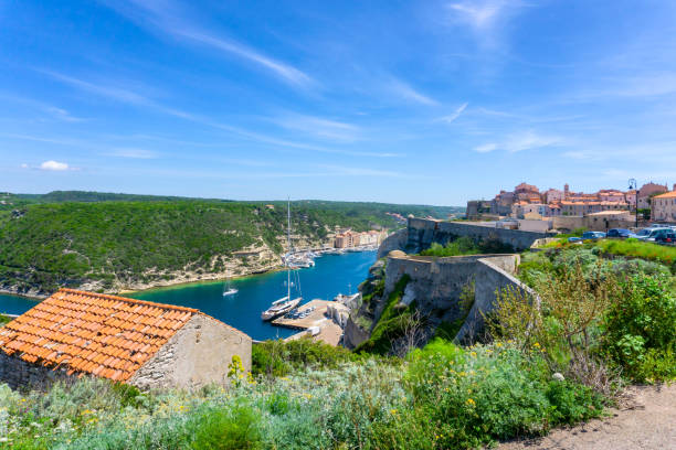 istock Landscape on Corsica island 1201350247