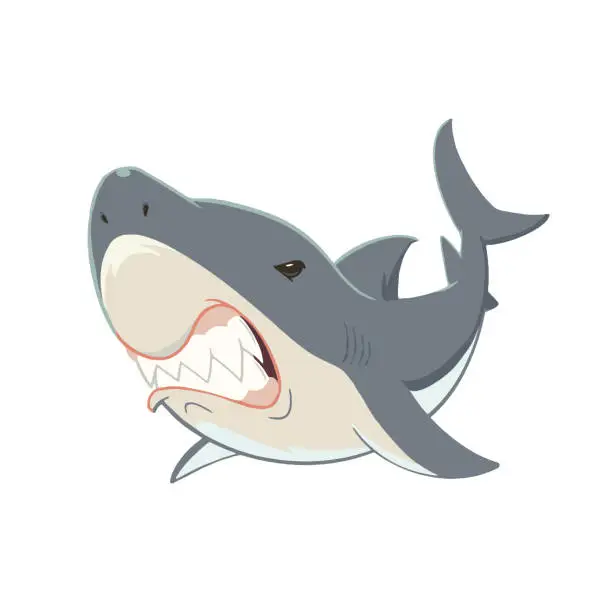 Vector illustration of Shark with open mouth and sharp teeth.
