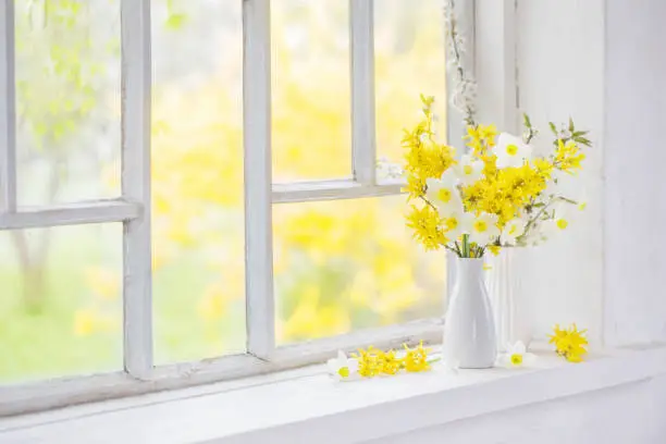 yellow spring flowers on old white windowsill