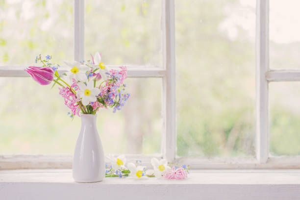 весенние цветы в белой вазе на старом подоконнике - tulip blue close up cut flowers стоковые фото и изображения