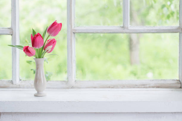 pink tulips in vase on white windowsill