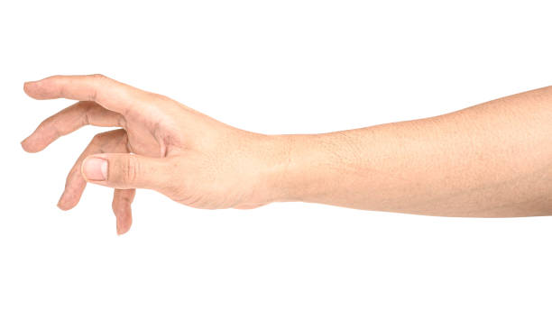 istock Hand open and ready to help or receive. Gesture isolated on white background with clipping path. 1201353922
