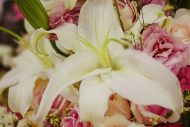 istock Beautiful Roses and Lily flower blooming bouquet 1201354152