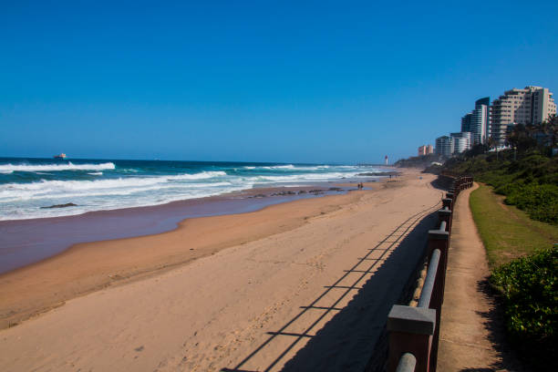 istock Grass Area and Dune Rehabilitation at Durban 1201355718