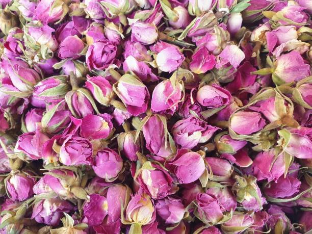 istock Rose dry backgrouand and wallpaper. 1201356570