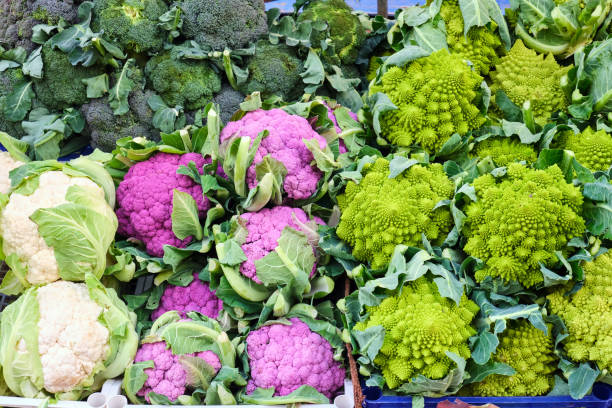 istock Different kinds of cauliflower and broccoli 1201357487