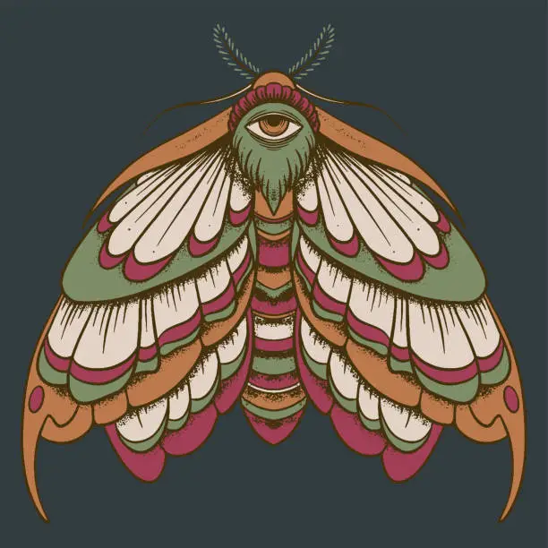Vector illustration of Eyed hawk-moth colored illustration, drawing, engraving, ink, line art, vector