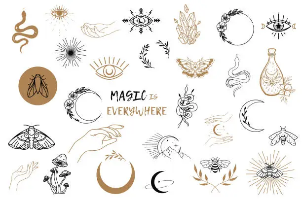 Vector illustration of Vector witch magic design elements set. Hand drawn, doodle, sketch magician collection. Witchcraft symbols. Perfect for tattoo, textile, cards, mystery