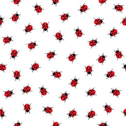 Vector seamless pattern of little ladybugs on a white background.