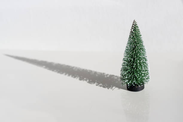 istock Small green christmas tree with long shadow on white background. 1201359430