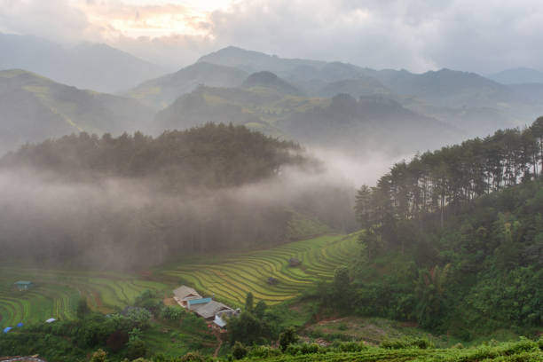 istock Green terraced rice fields in rainny season at Mu Cang Chai 1201361184