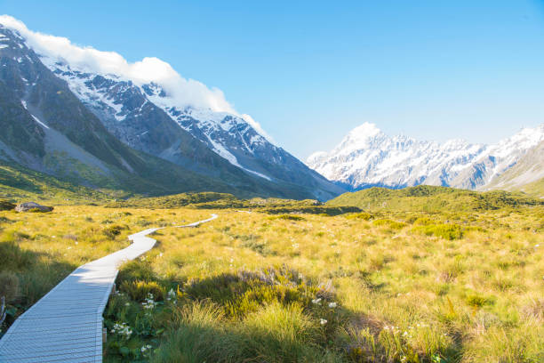 istock Mount Cook's Hooker Valley trekking scene. 1201363064