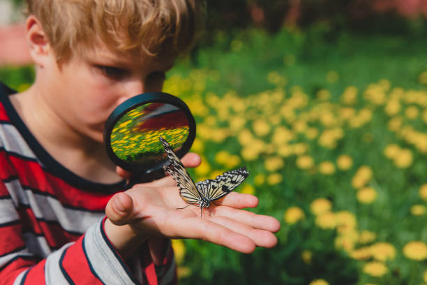 istock boy looking at butterfy, kids learning nature 1201372546